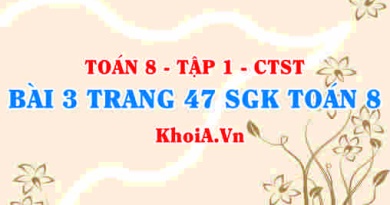 Bài 3 trang 47 SGK Toán 8 Tập 1 Chân trời sáng tạo